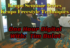 Seminar Series, Kenpo Free Style Techniques — Digital Download